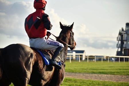 Exeter jockey and horse